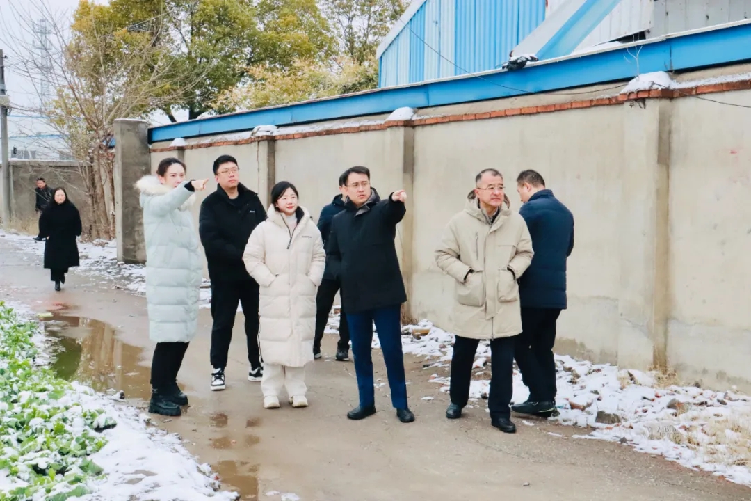 新聞 | 市委常委、副市長盧林一行來集團(tuán)調(diào)研